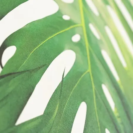 Inizio Anno! 2 In Centro Citta Con Balcone Vista Mare *