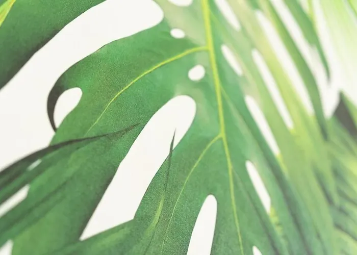 Inizio Anno! 2 In Centro Citta Con Balcone Vista Mare *